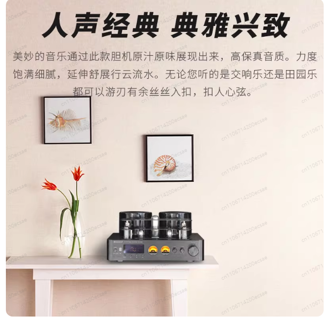 220V 400W * 2 High-Fidelity Ka – Audio Music Youtube Bewertung und Preis